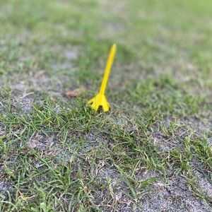 Meet your Posher, Ann